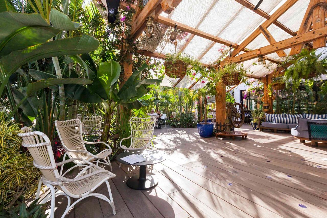 Apartamento Sara En Playa De Las Americas - Sara Vacation 阿罗纳 外观 照片